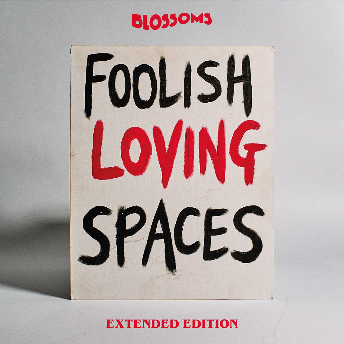 Blossoms - Foolish Loving Spaces (Extended Edition): 2CD